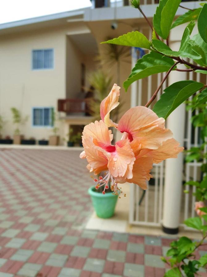 Amalia Apartments Paramaribo Esterno foto